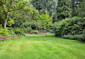 Optimiser l'expérience du jardin à Bajamont