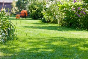 travaux jardin et paysage Bajamont